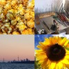 100 days of happy 45-48 by sailor girl