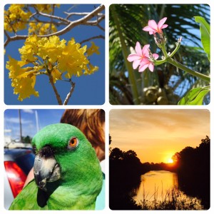 colours by nature photo by sailorgirl jewelry