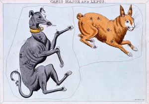 dog days